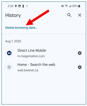Google mobile app, History window showing all past web pages in list form.