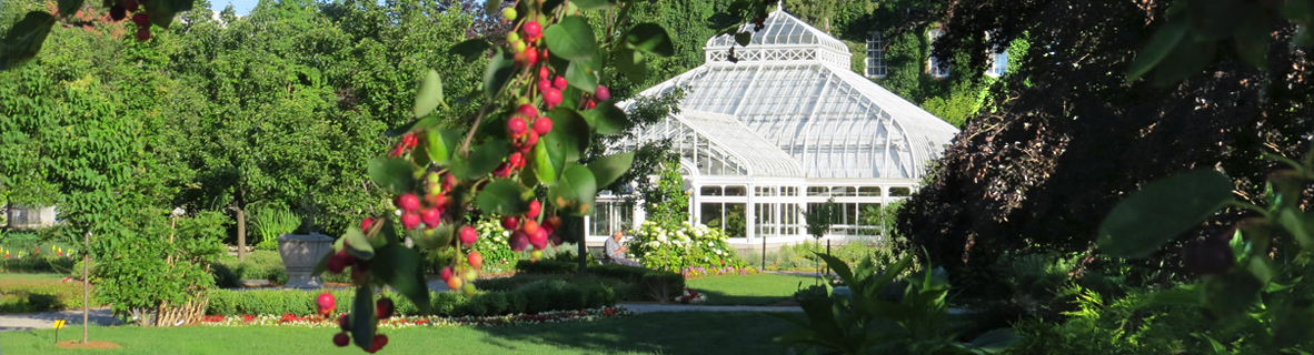Conservatory Gardens Greenhouse