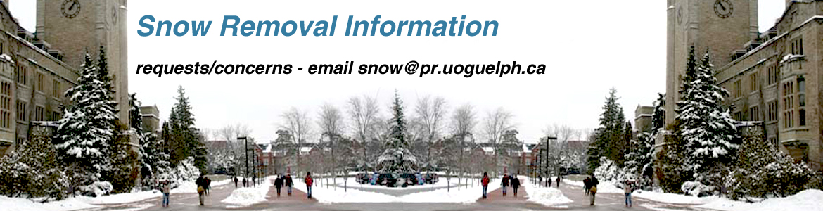 Snow Removal Information