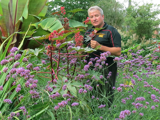 John Reinhart in Kidney Garden